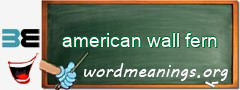 WordMeaning blackboard for american wall fern